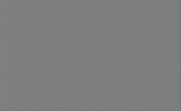 RAL9007